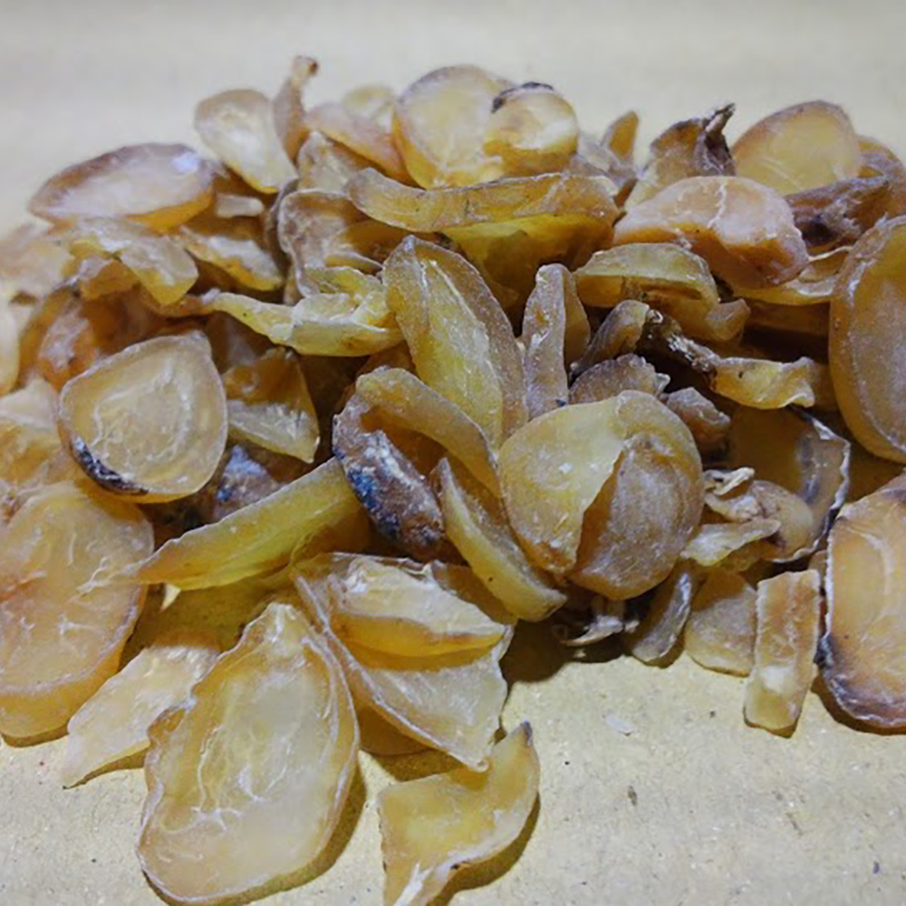 Bạch phụ - Aconitum fortunei