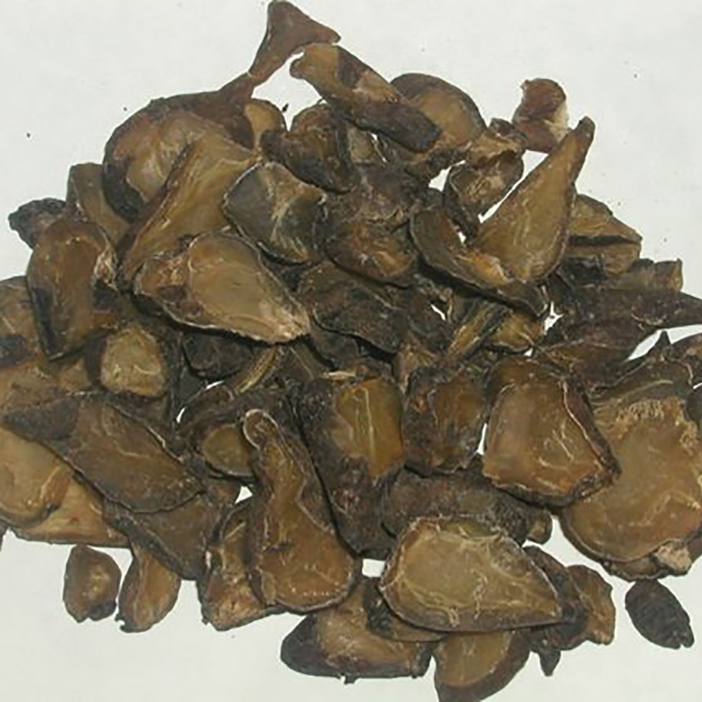 Hắc phụ - Aconitum fortunei