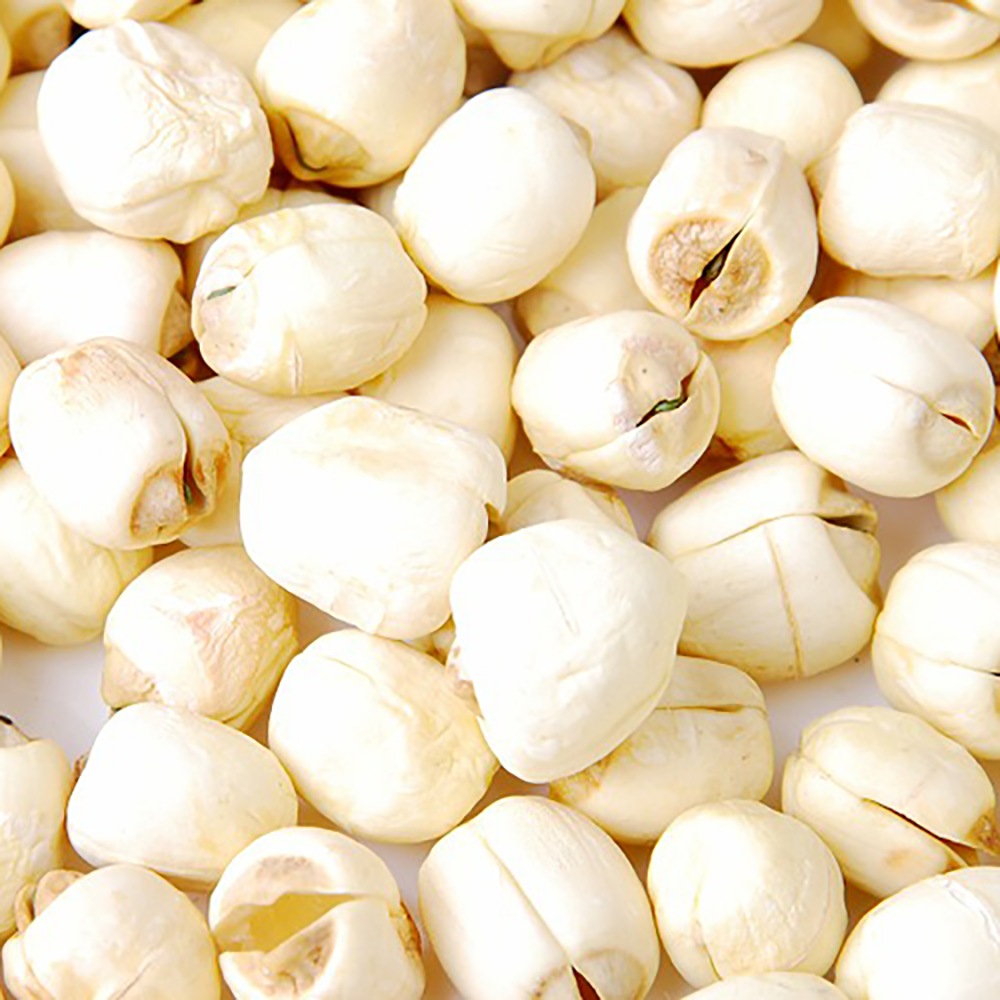 Liên nhục - Semen nelumbinis