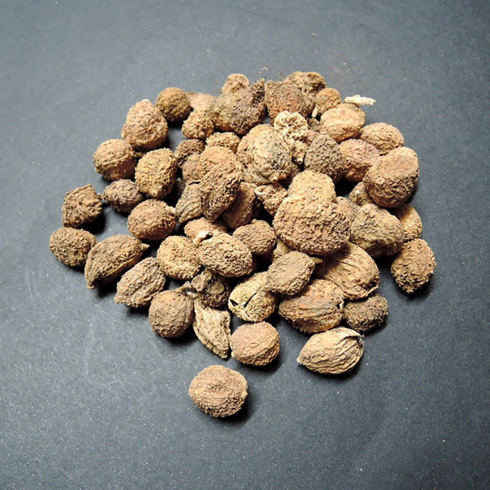 Sa Nhân - Amomum xanthioides