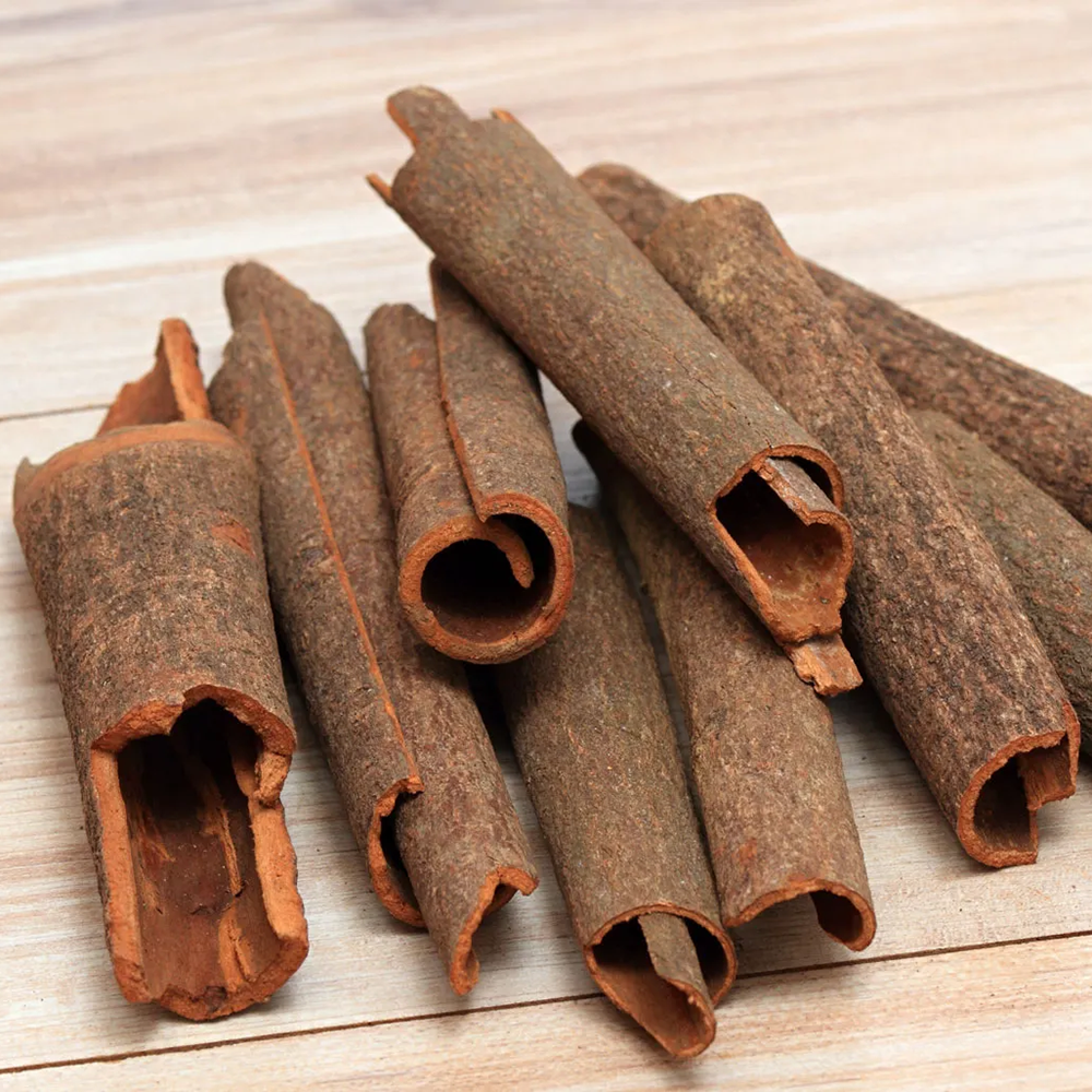Quế - Cinnamomum cassia