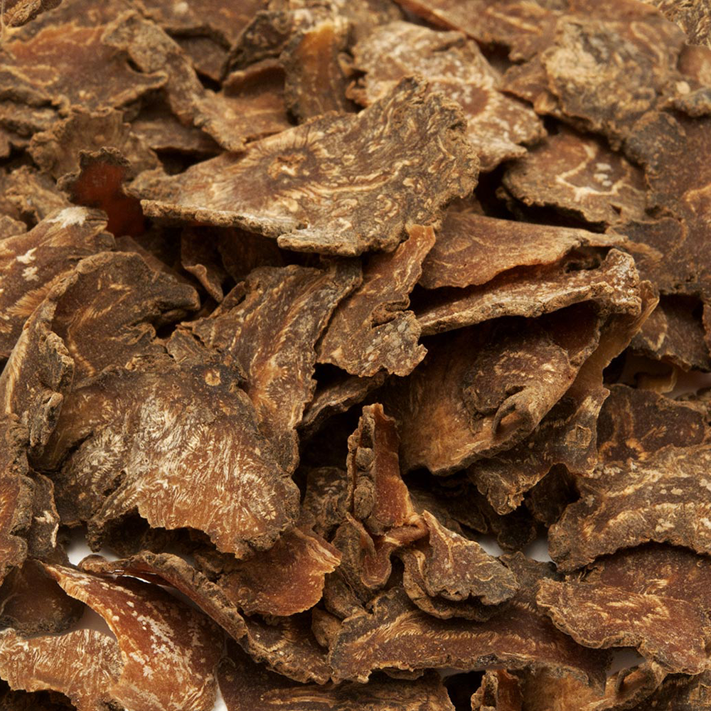 Xuyên Khung - Ligusticum wallichii