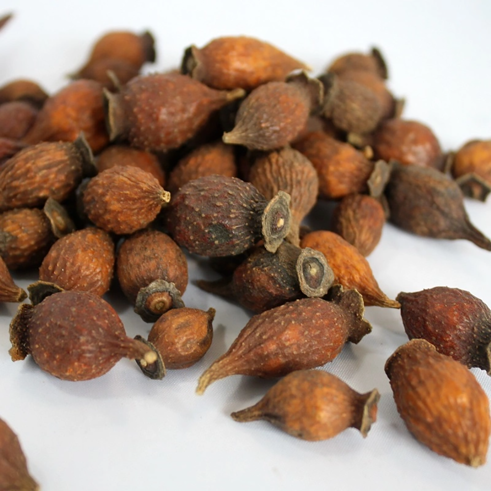 Kim Anh - Rosa laevigata