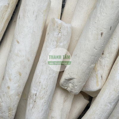 Củ mài Hoài sơn bắc | Nhà thuốc Thanh Tâm