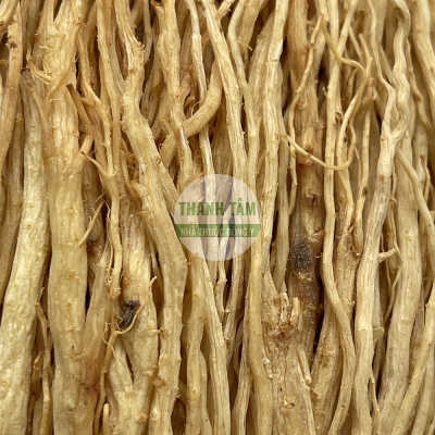 Lộ đảng | Nhà thuốc Thanh Tâm