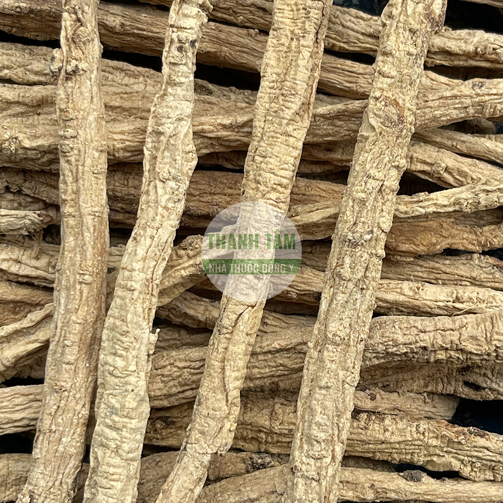 Đảng sâm - vị thuốc bổ khí Đông y