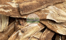 Hoàng kỳ khô | Nhà thuốc Thanh Tâm