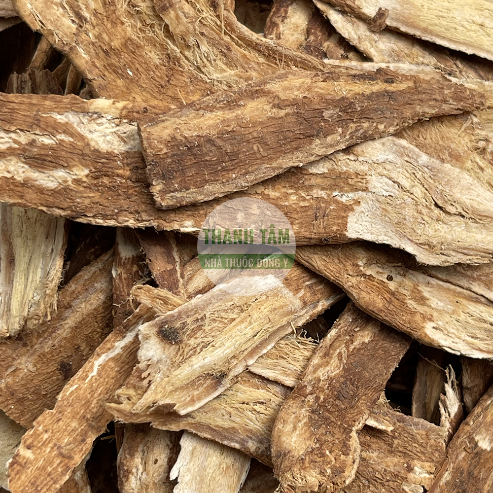 Hoàng kỳ – vị thuốc bổ khí trong Đông y