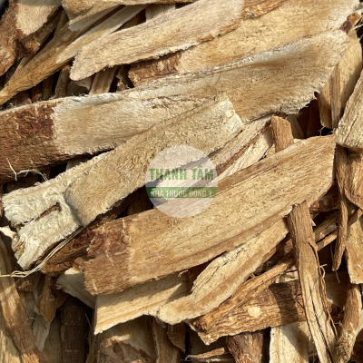 Hoàng kỳ tươi Sinh kỳ | Nhà thuốc Thanh Tâm