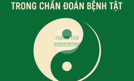 Học thuyết âm dương trong chẩn đoán bệnh tật | Nhà thuốc Thanh Tâm