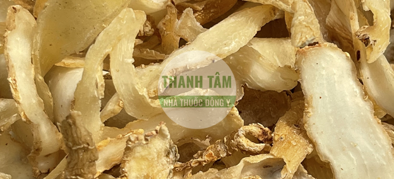 Ngọc trúc | Nhà thuốc Thanh Tâm