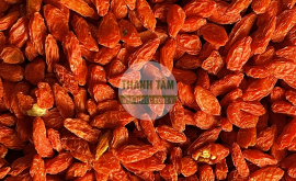 Câu kỷ tử chua | Nhà thuốc Thanh Tâm