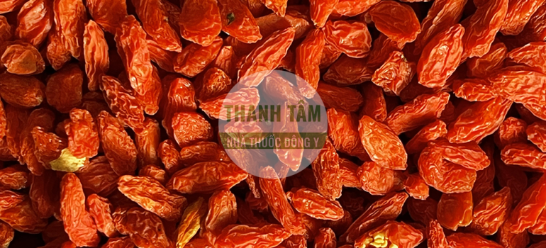 Câu kỷ tử chua | Nhà thuốc Thanh Tâm