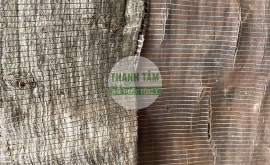 Đỗ trọng | Nhà thuốc Thanh Tâm