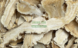 Đương quy Quy đầu | Nhà thuốc Thanh Tâm