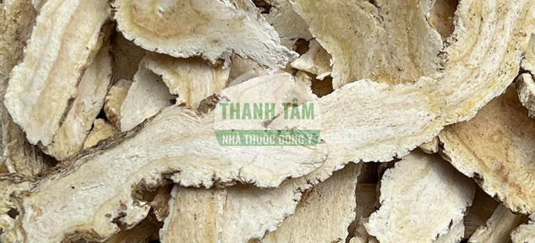 Đương quy Quy đầu | Nhà thuốc Thanh Tâm