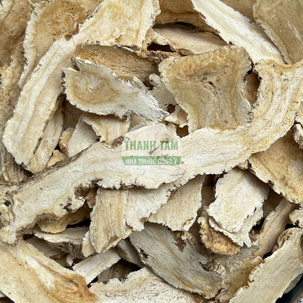 Đương quy – vị thuốc bổ huyết, điều kinh