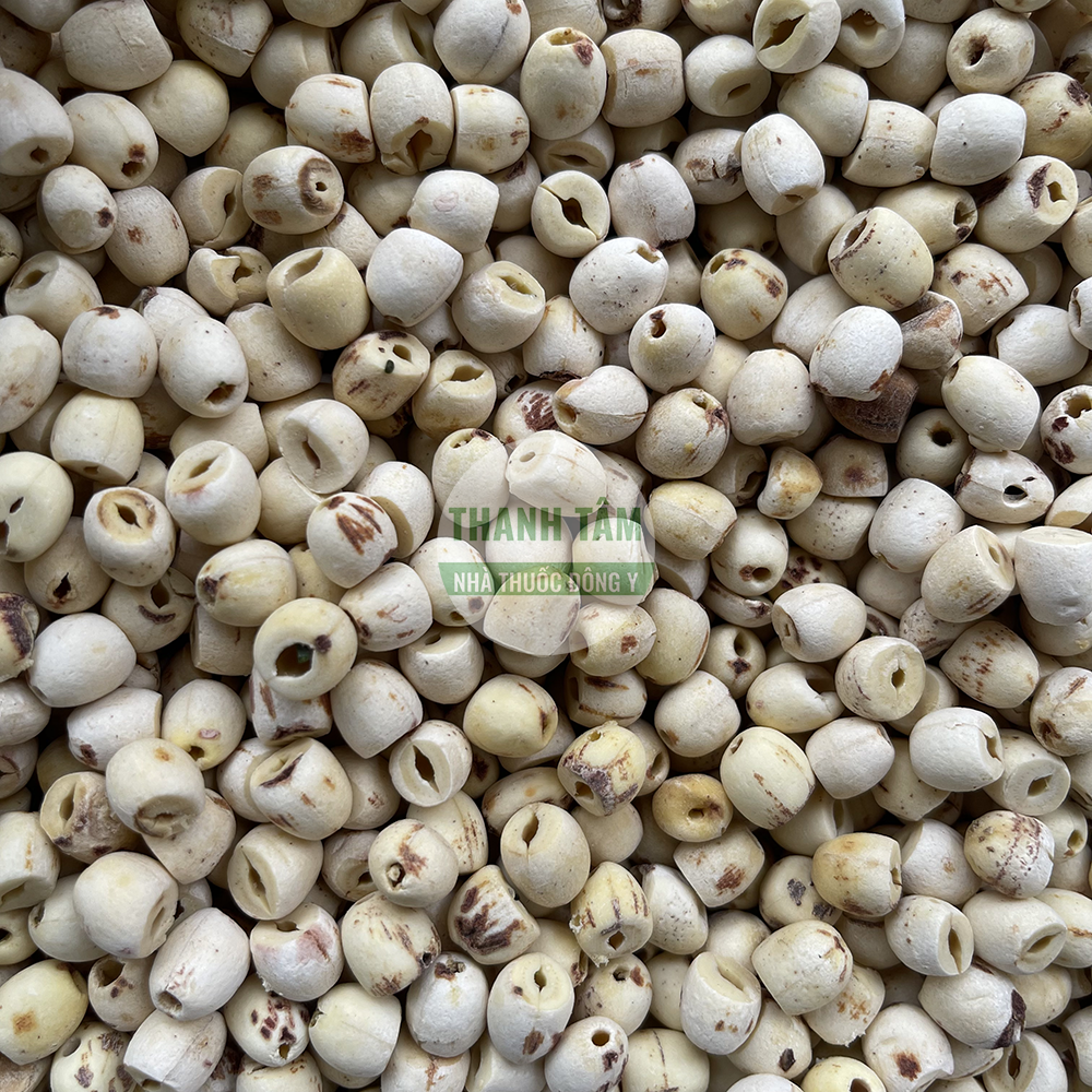 Liên nhục – hạt sen trong y học cổ truyền