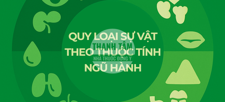 Quy loại sự vật theo thuộc tính của ngũ hành