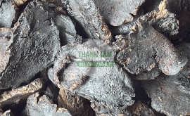 Thục địa lát | Nhà thuốc Thanh Tâm