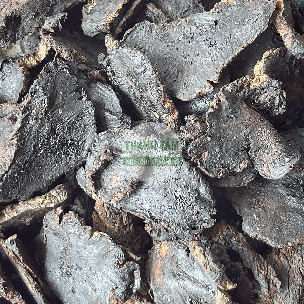 Thục địa – vị thuốc bổ huyết và dưỡng âm trong Đông y
