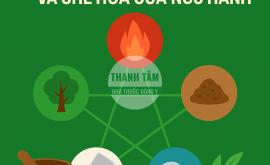 Tương sinh Tương khắc và Chế hóa của ngũ hành | Nhà thuốc Thanh Tâm