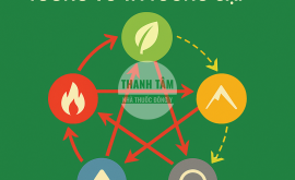 Tương thừa, Tương vũ và Tương cập | Nhà thuốc Thanh Tâm