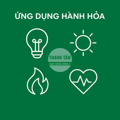 Ứng dụng hành Hỏa | Nhà thuốc Thanh Tâm