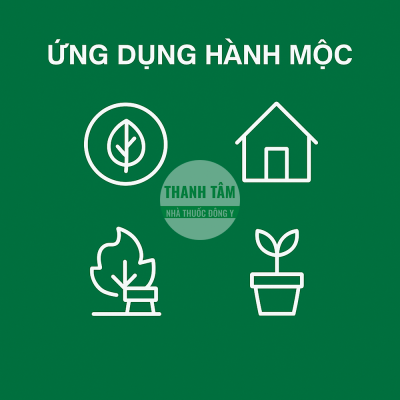 Ứng dụng hành Mộc | Nhà thuốc Thanh Tâm