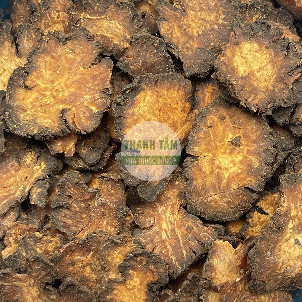 Xuyên khung – vị thuốc hoạt huyết, giảm đau đầu