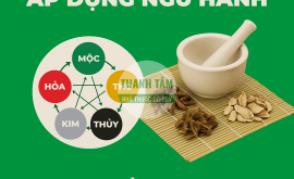 Áp dụng học thuyết ngũ hành trong chẩn đoán bệnh | Nhà thuốc Thanh Tâm