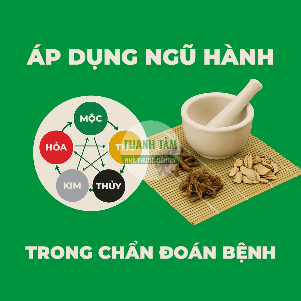Áp dụng học thuyết ngũ hành trong chẩn đoán bệnh | Nhà thuốc Thanh Tâm