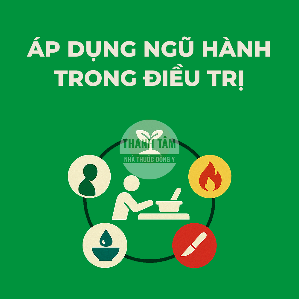 Áp dụng ngũ hành trong điều trị | Nhà thuốc Thanh Tâm