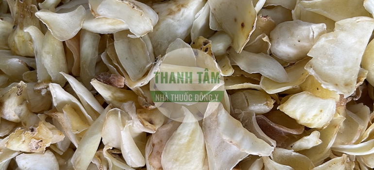 Vị thuốc Bách hợp | Nhà thuốc Thanh Tâm