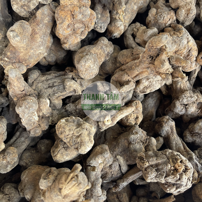 Whole white atractylodes rhizome from Thanh Tam Herbs