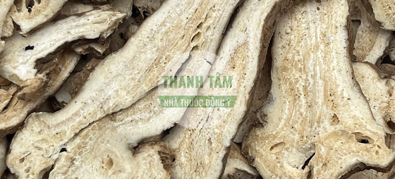 Vị thuốc Bạch truật phiến | Nhà thuốc Thanh Tâm