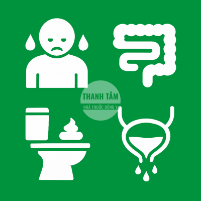 Bài tiết sản phẩm chuyển hóa | Nhà thuốc Thanh Tâm