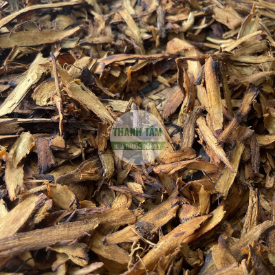 Chích thảo | Nhà thuốc Thanh Tâm