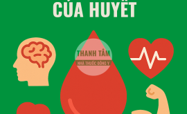Chức năng của huyết | Nhà thuốc Thanh Tâm
