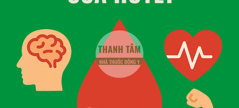 Chức năng của huyết | Nhà thuốc Thanh Tâm