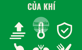 Chức năng của khí | Nhà thuốc Thanh Tâm