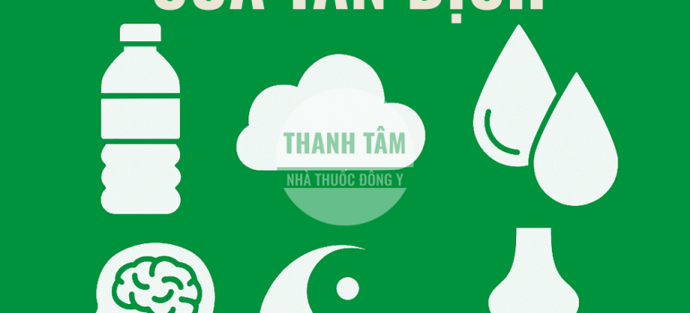 Chức năng của Tân dịch | Nhà thuốc Thanh Tâm