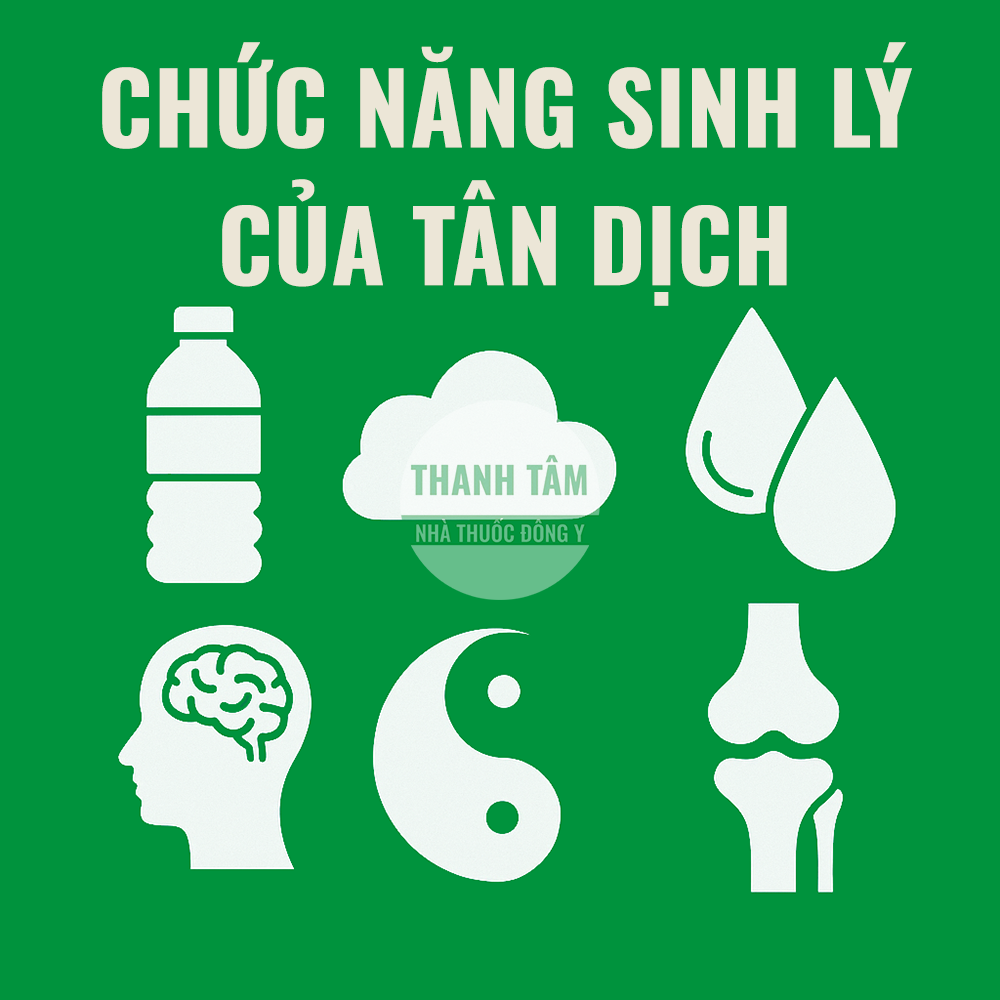 Chức năng của Tân dịch | Nhà thuốc Thanh Tâm