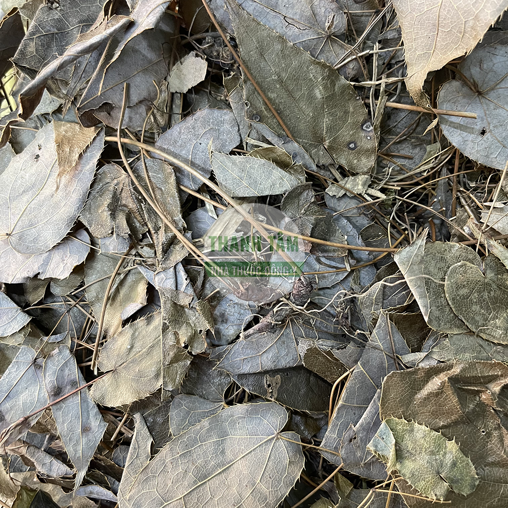 Dâm dương hoắc – vị thuốc bổ thận tráng dương trong Đông y