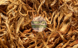 Vị thuốc Đông trùng hạ thảo khô | Nhà thuốc Thanh Tâm