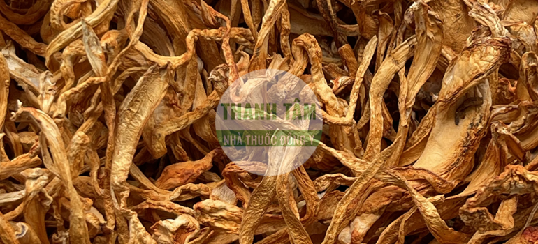 Vị thuốc Đông trùng hạ thảo khô | Nhà thuốc Thanh Tâm