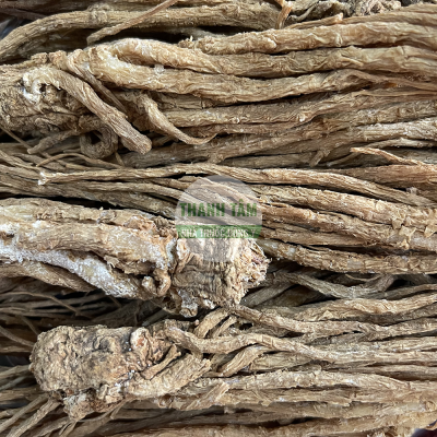Đương quy Quy điều củ | Nhà thuốc Thanh Tâm
