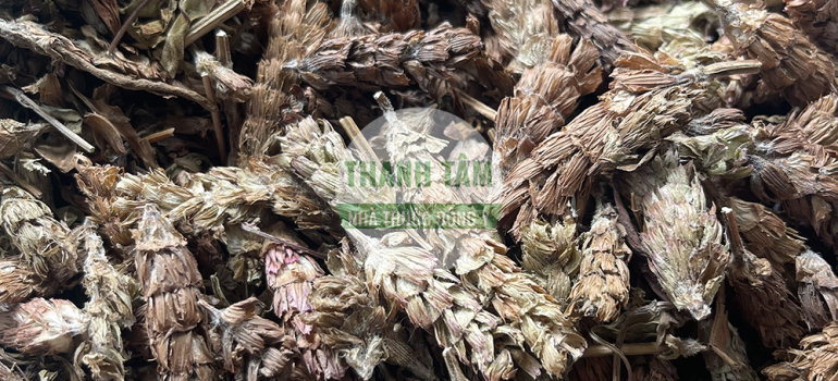 Vị thuốc Hạ khô thảo | Nhà thuốc Thanh Tâm