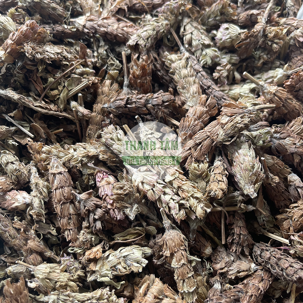 Hạ khô thảo – vị thuốc thanh nhiệt trong Đông y