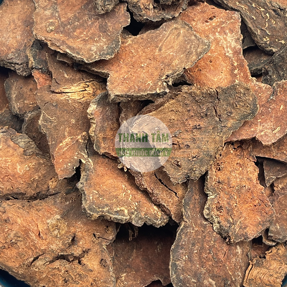 Hà thủ ô đỏ – vị thuốc bổ huyết, dưỡng gan thận